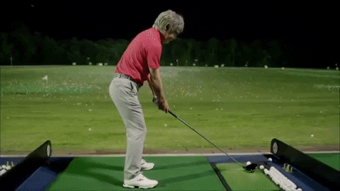 majorworld giphygifmaker GIF