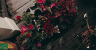 Spring Garden GIF by Ash Branding Co