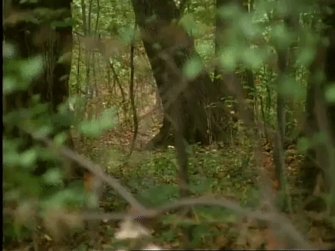 season 3 episode 6 GIF