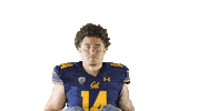 Ncaa Football Go Bears Sticker by Cal Athletics