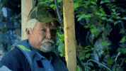 gold rush what GIF by Discovery Europe
