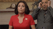 selina meyer amy brookheimer GIF by Veep HBO