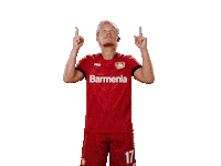 Swipe Up Bayer 04 Sticker by Bayer 04 Leverkusen