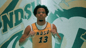 Ndsu Basketball GIF by NDSU Athletics