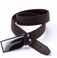 Belt Lexus GIF