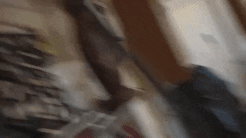 viceland GIF by FLOPHOUSE