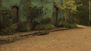 Matt Bomer Teleport GIF by DOOM PATROL
