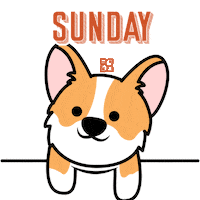 happy dog Sticker by Petland Florida