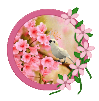 Spring Break Sticker