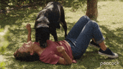 Dog Pet GIF by PeacockTV