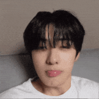 Stan Twitter Kiss GIF