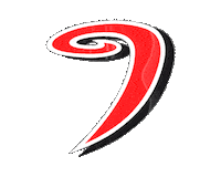 Hockey Liiga Sticker by JYP