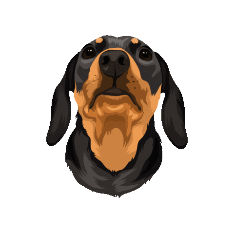 Picklepp Sticker by Pickle's Pawtraits