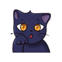 Cat Instagram Sticker