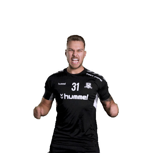 hattrick-brno sport floorball salibandy innebandy Sticker