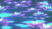 kaceymusgraves kacey musgraves oh what a world GIF