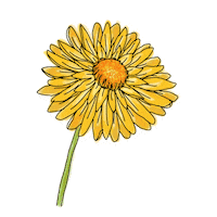 Flower Sticker by Increase Creativity