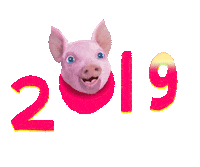 Happy Chinese New Year Sticker by Chris Timmons