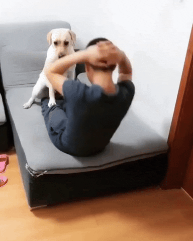 cuteanimalland giphyupload GIF