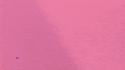 Ink Stamp GIF by NeighborlyNotary®