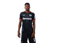 Bayer 04 Werkself Sticker by Bayer 04 Leverkusen