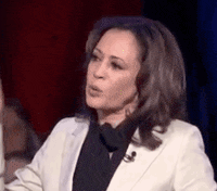 Kamala Harris Msnbc GIF by Election 2020