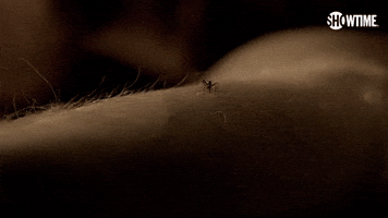 Death to the Mosquito