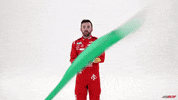 Go Austin Dillon GIF by Richard Childress Racing