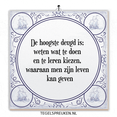 Focus Wijsheid GIF by Tegelspreuken.nl