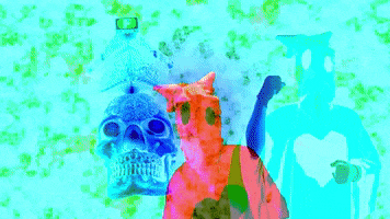 High Priest Skull GIF by MFD