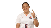 Soccer Celebration Sticker by Carson-Newman Athletics