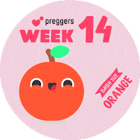 Baby Orange Sticker by Preggers