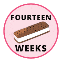 Pregnancy Baby Size Sticker by Bump Boxes