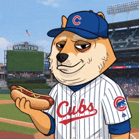 Hot Dog Baseball GIF by Doge Pound