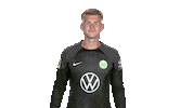 In Love Football Sticker by VfL Wolfsburg