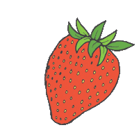 FoodEqualityInitiative strawberry healthyfood foodequality forthehealth Sticker