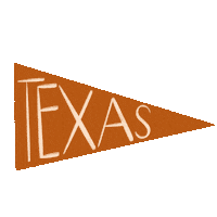 kamrynbrownlee flag texas navy ut Sticker