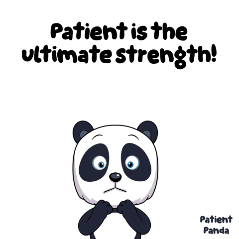 Panda Strength GIF by VeeFriends