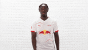 Rb Leipzig Football GIF by Bundesliga