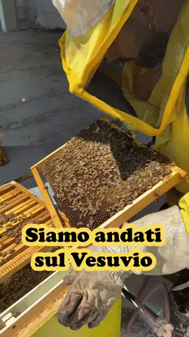 Bee Honey GIF by Vico Food Box