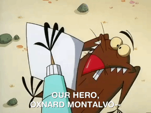 nickrewind giphydvr nicksplat angry beavers giphyab017 GIF