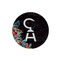 Captain Hook Party Sticker by DM7 Bookings