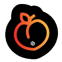 allsupps science focus peach taste Sticker