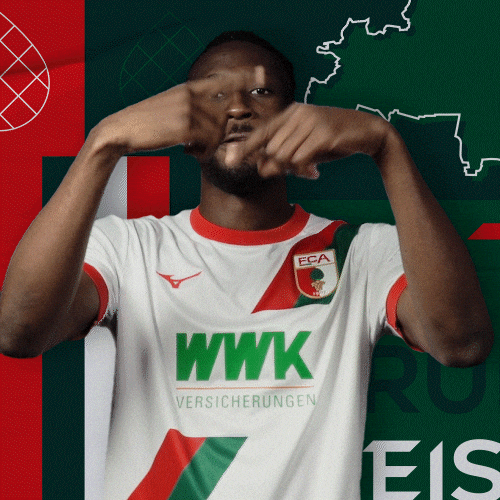 Football Bundesliga GIF by FC Augsburg 1907