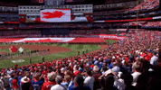 Canadian Baseball GIF by Toronto Blue Jays