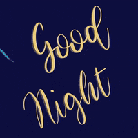 Good Night Love GIF