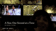 every day video GIF