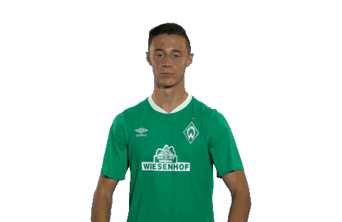 Swipe Up Marco Friedl Sticker by SV Werder Bremen