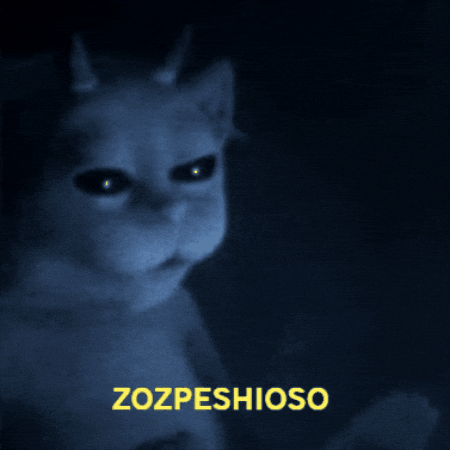 Chilean Banditos GIF