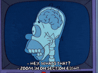 homer simpson GIF